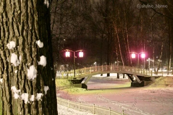 Лианозово часы. Парк в Алтуфьево Лианозово. Парк Лианозово 2022. Парк Лианозово зима 2022. Парк Лианозово зимой.