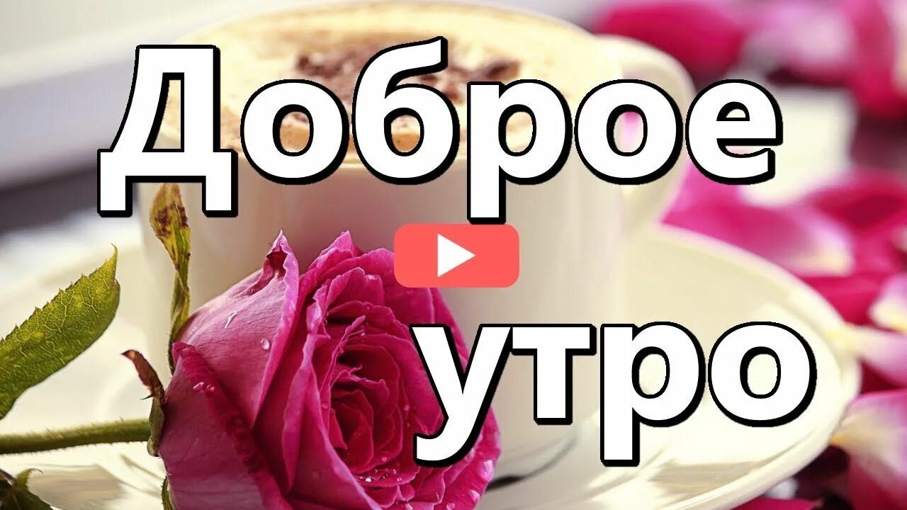 Доброго дня в тик токе. Тик-ток поздравления с добрым утром. Тик ток доброе утро. Тик ток открытки с добрым утром. Тик ток пожелания с добрым утром.