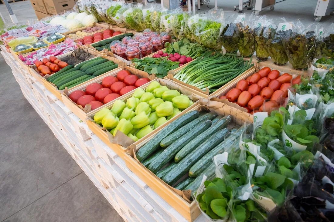 Южно сахалинск хозяйство. Завод спг (пригородное, корсаковский р-н). Инкубаторий в фермерском хозяйстве. Южно сахалинск хозяйство. Зеленое хозяйство южно-сахалинска.
