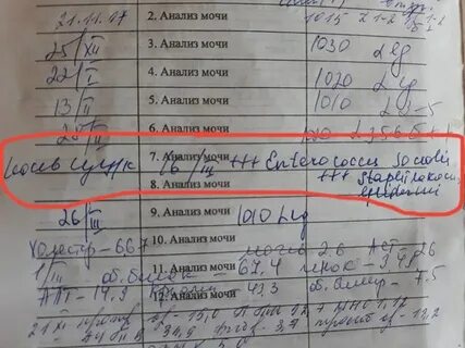 Что такое посев мочи при беременности