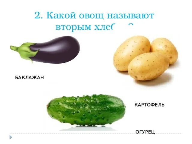Овощ какого размера. Какие овощи. какой какой овощной. какой овощ больше чем огурца. кого называют овощем.
