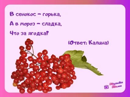 Загадка цвет белый а ягода