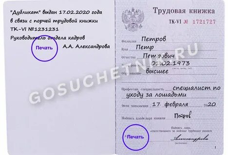 Копия трудового договора заявление