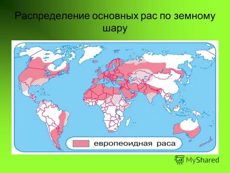 В какой части африки живут представители европеоидной расы. Религиозный состав африки. Население африки карта по географии. Население алжира диаграмма. Половой состав населения алжира.