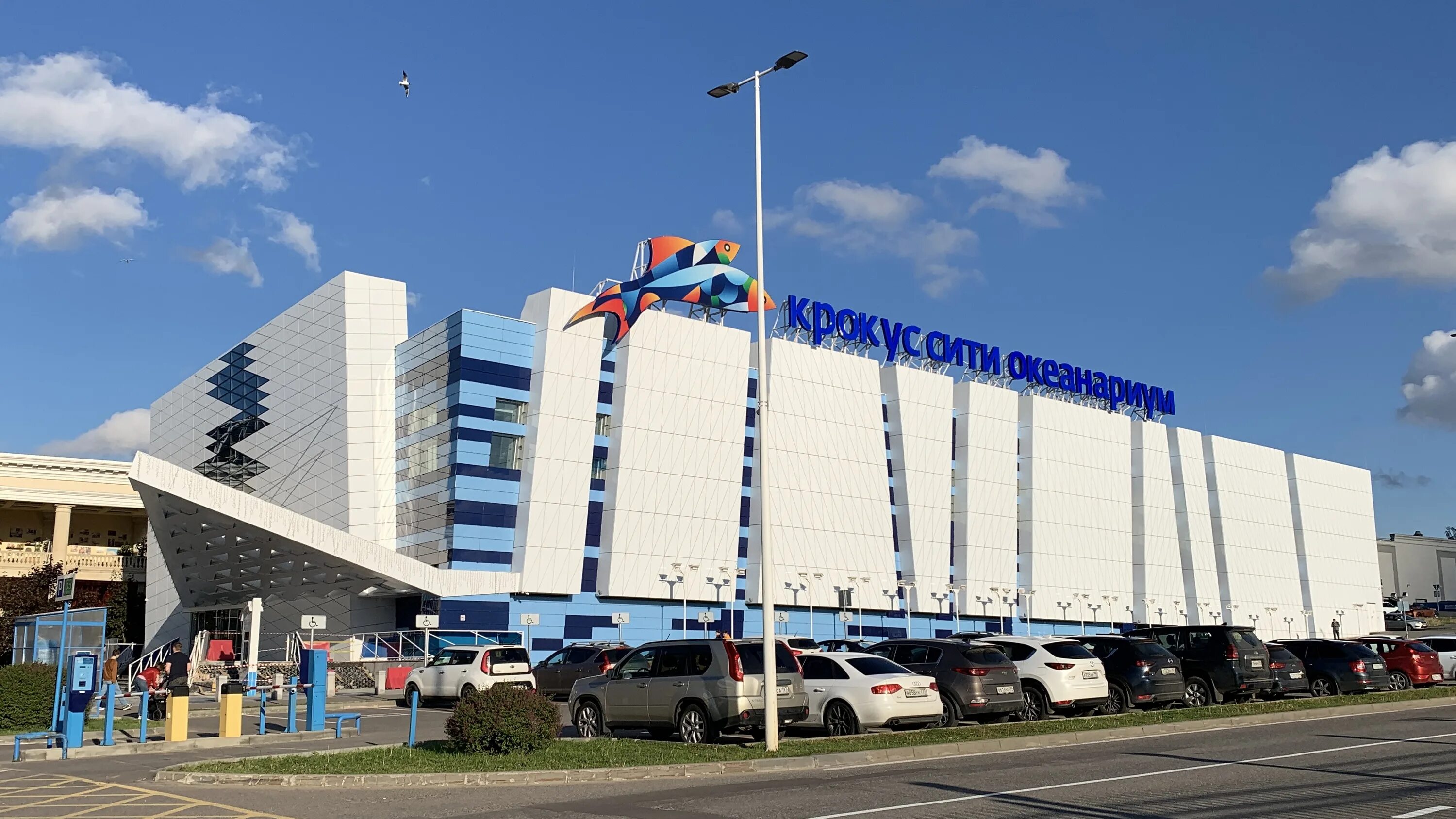 Крокус Сити Красногорск. Океанариум Крокус Красногорск. Океанариум Крокус Сити. Крокус Сити Молл Красногорск. Видео с крокус сити 22.03 2024