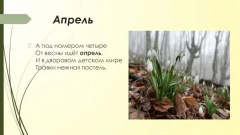 Иди апрель 16