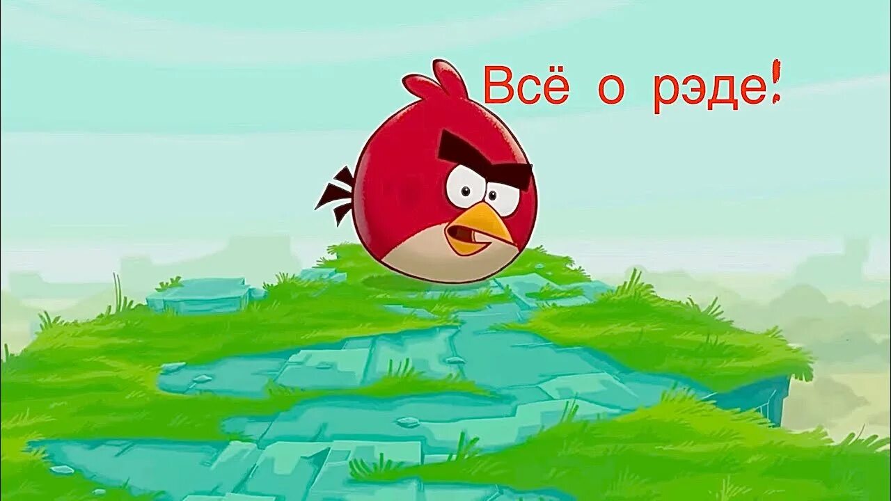 Бердс сердитые птички. Angry Birds toons Чак. Angry Birds toons птицы. Сердитые птички 1. Angry Birds сердитые птички Чак.
