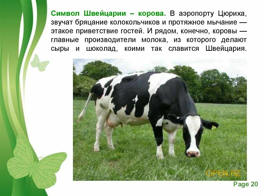 Какой зверь является национальным символом. Символ Швейцарии корова. Национальные животные // символы стран. Животное символ страны.