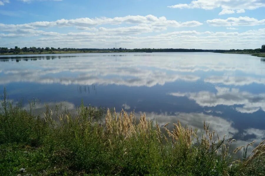 ближайшие озера есть. ближайший озеро. озеро близко. кафтино бологовский район. озеро диво демидовский район.