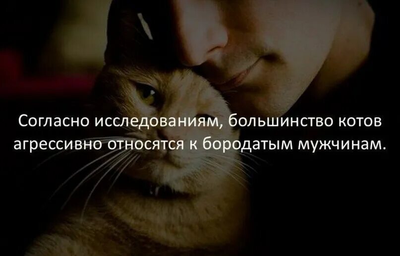 Как понять обо всем. Интересные факты обо всем в мире. короткие факты. интересные факты обо всем в картинках с надписями. интересные факты в картинках с надписями взрослые.