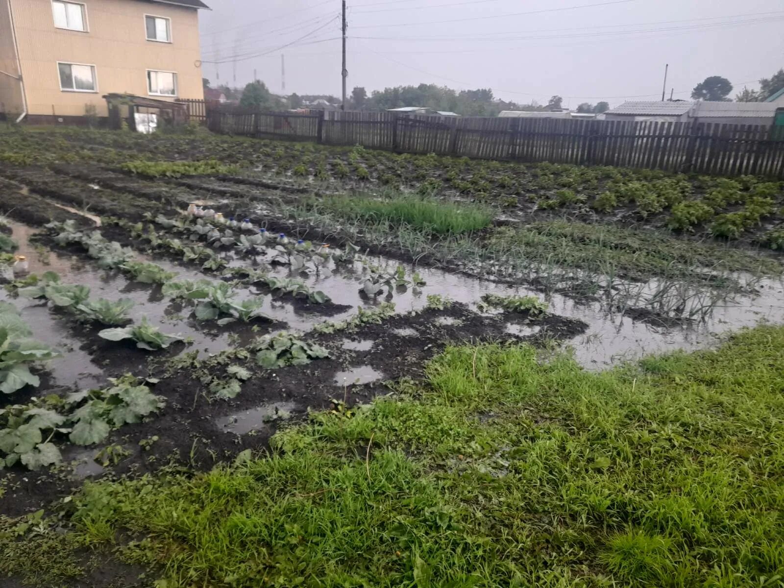 Погода в назарово сегодня. Потоп в Назарово. Дождь грядки. Водяной Назарово. С крыши вода размывает грядки.