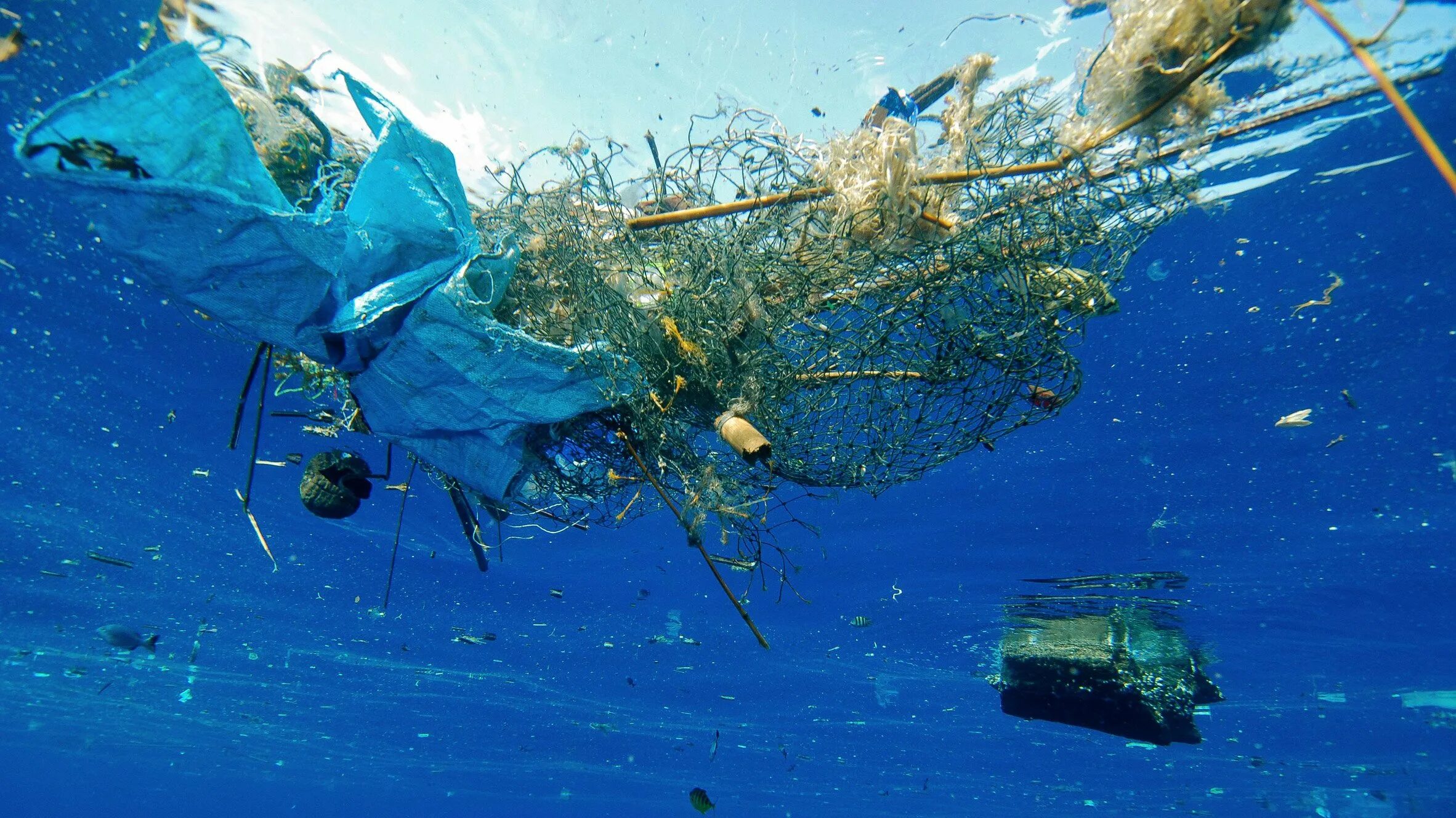 Загрязнение мирогого океан. Загрязнение мирового океана. Мусор в океане. Бытовые отходы в океане. Саргассово море мусорное пятно.