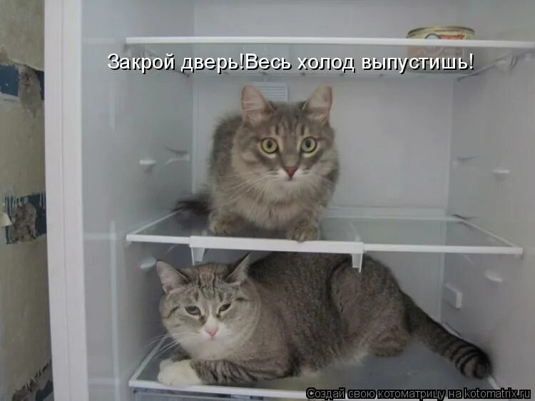 мем леонид аркадьевич расстроен. берегите тепло закрывайте дверь табличка. заходи закрывай дверь. закрывайте дверь. леонид аркадьевич мем.