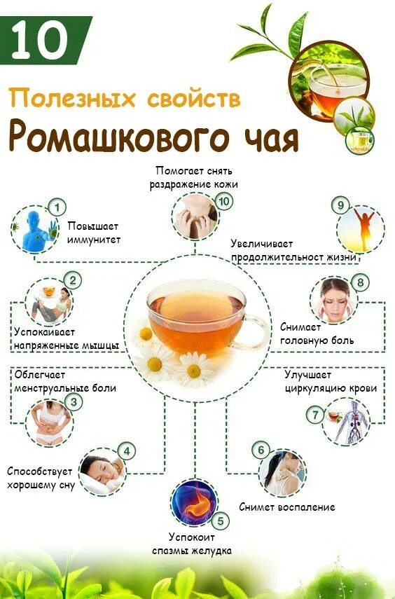 Если пить ромашку каждый день. Чай Ромашка чем полезн. Ромашковый чай польза. Чем полезен чай с ромашкой. Чай ромашки полезные качества.