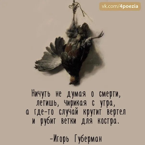 Ничуть стих. Губерман стихи смешные. губерман стихи. губерман стихи смешные короткие.