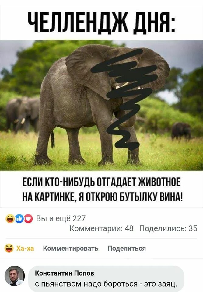 Отгадай смешно. Если вы угадаете животное то я выпью. Угадать животное. Если угадаешь животное то. Прикол если угадаешь животное.