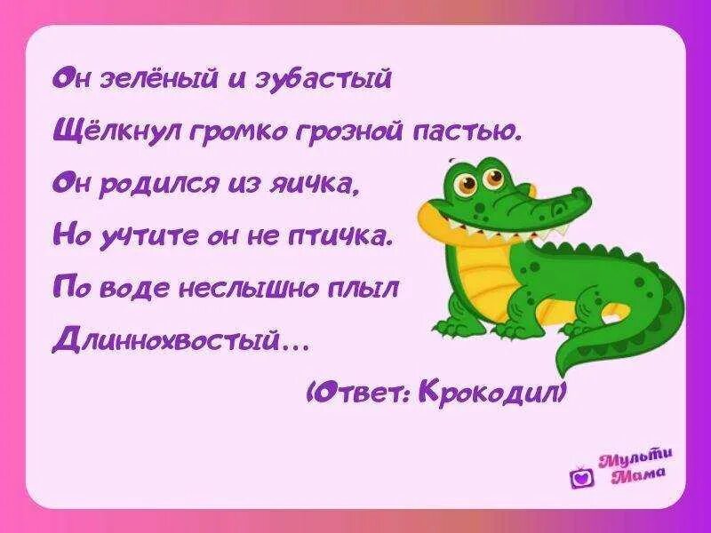 Загадка про крокодила. Загадка про крокодила для детей. стих про крокодила для детей. детский стишок про крокодила.