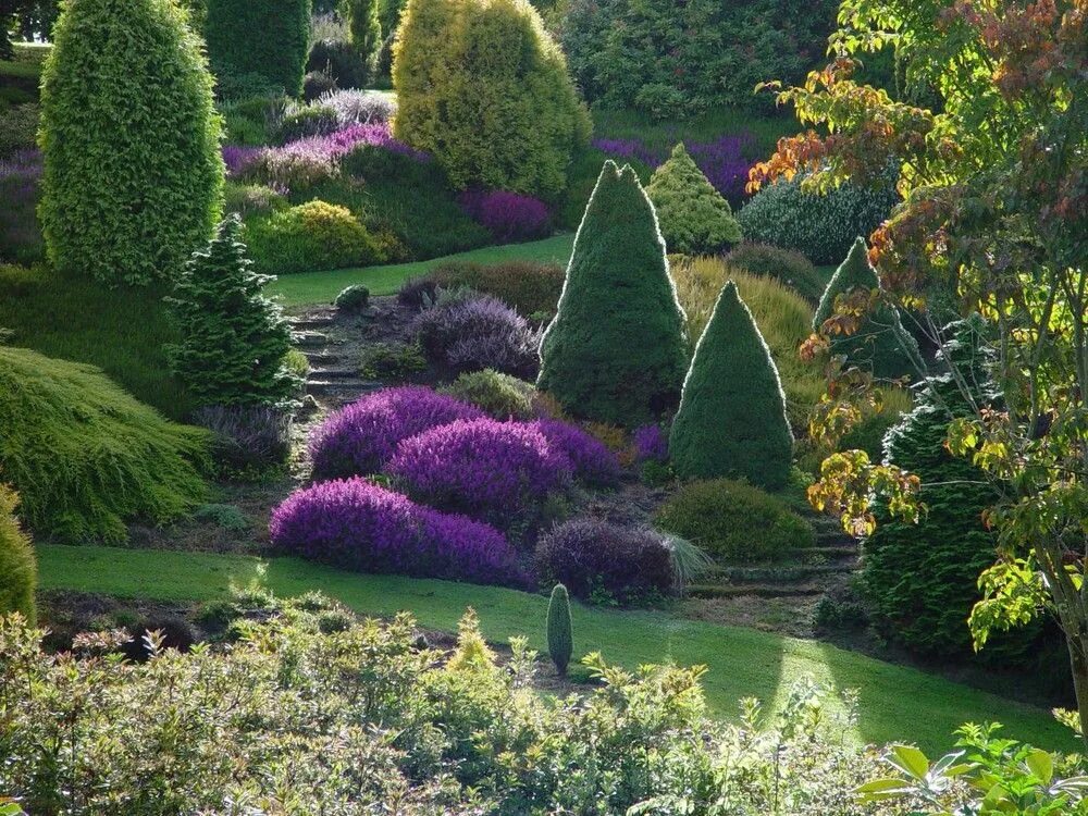 Сад Maple Glen Garden, новая Зеландия. Астильба в долине реки клена частный сад в Саутленд новая Зеландия. Парковый ландшафт из хвойников. В частный сад Maple Glen.