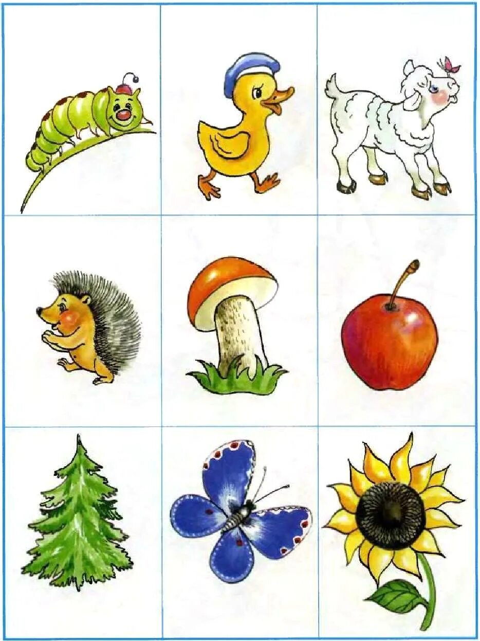 игра вспомни и назови. задание на память 5-6 лет. задания про хлеб. задачи в дидактических играх на угадывание. игра вспомни и назови.