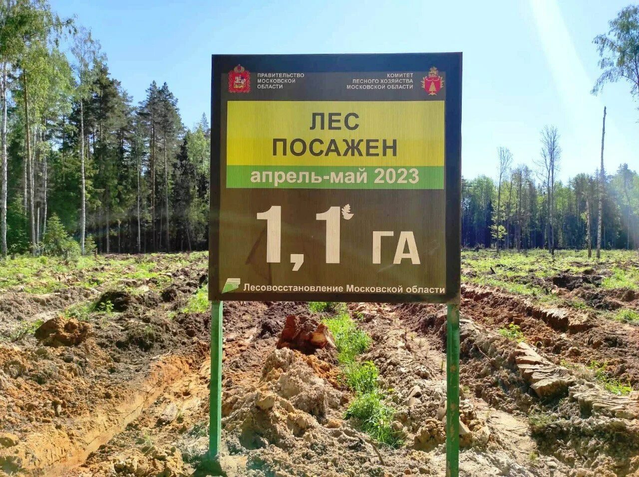 Проект парка кирова. Эскизный проект парк. Центр лес проект. Центр лес проект. Кпп коттеджного поселка.