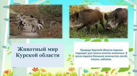 Когда же будет ответ за курскую область