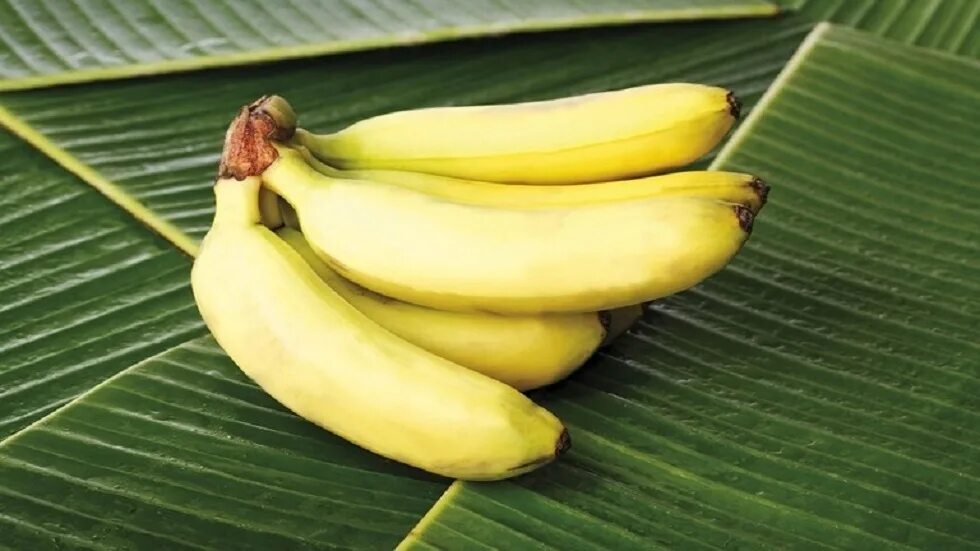 Белые бананы фото The Best Way to Freeze Bananas  Negative calorie foods, Negative c