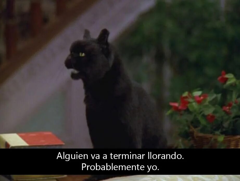 Probably this