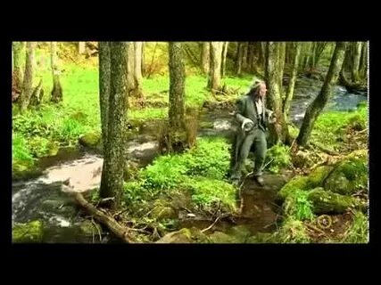 Песня в лес приходит сказка мувик