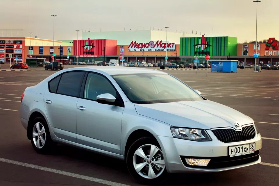 Купить октавию 2013. Skoda Octavia 2013.