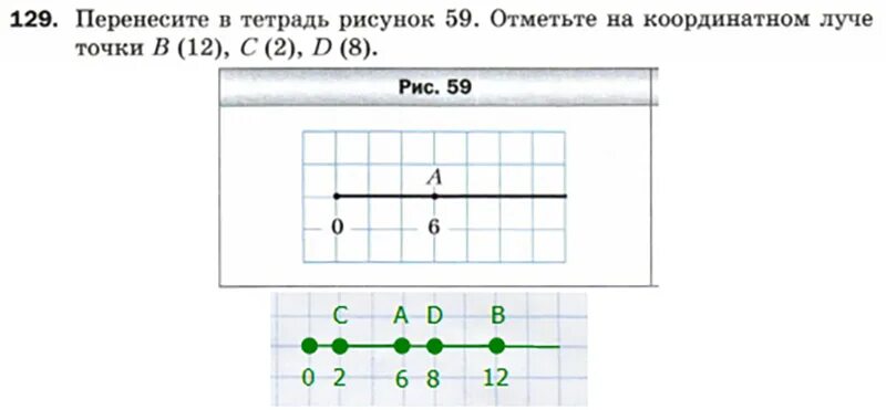 На рисунке 60 показан. Перенесите в тетрадь. Координатный Луч рисунок. Перенести в тетрадь рисунок 60.