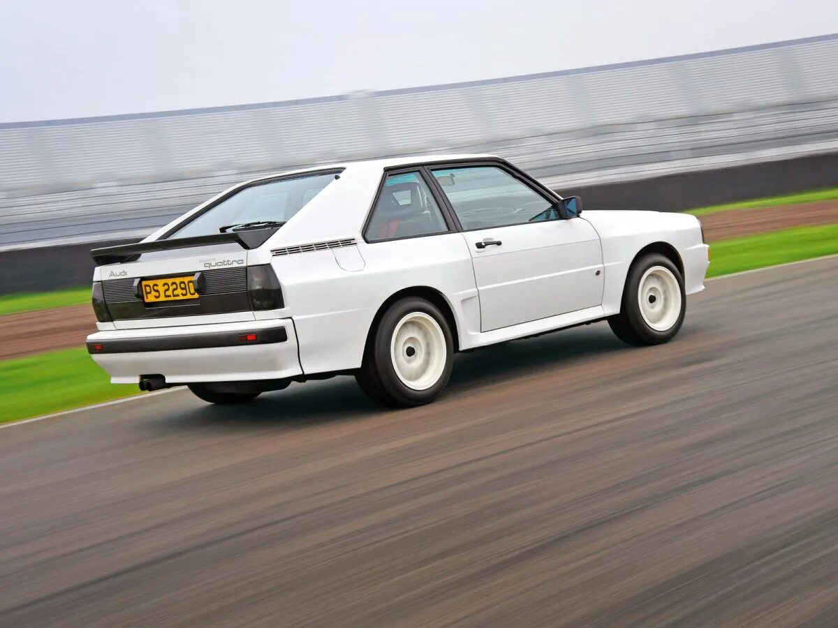 Ауди спорт кватро. Audi Sport quattro 1984. Audi Sport quattro 1986. Ауди кватро 1984. Audi Sport quattro 83.