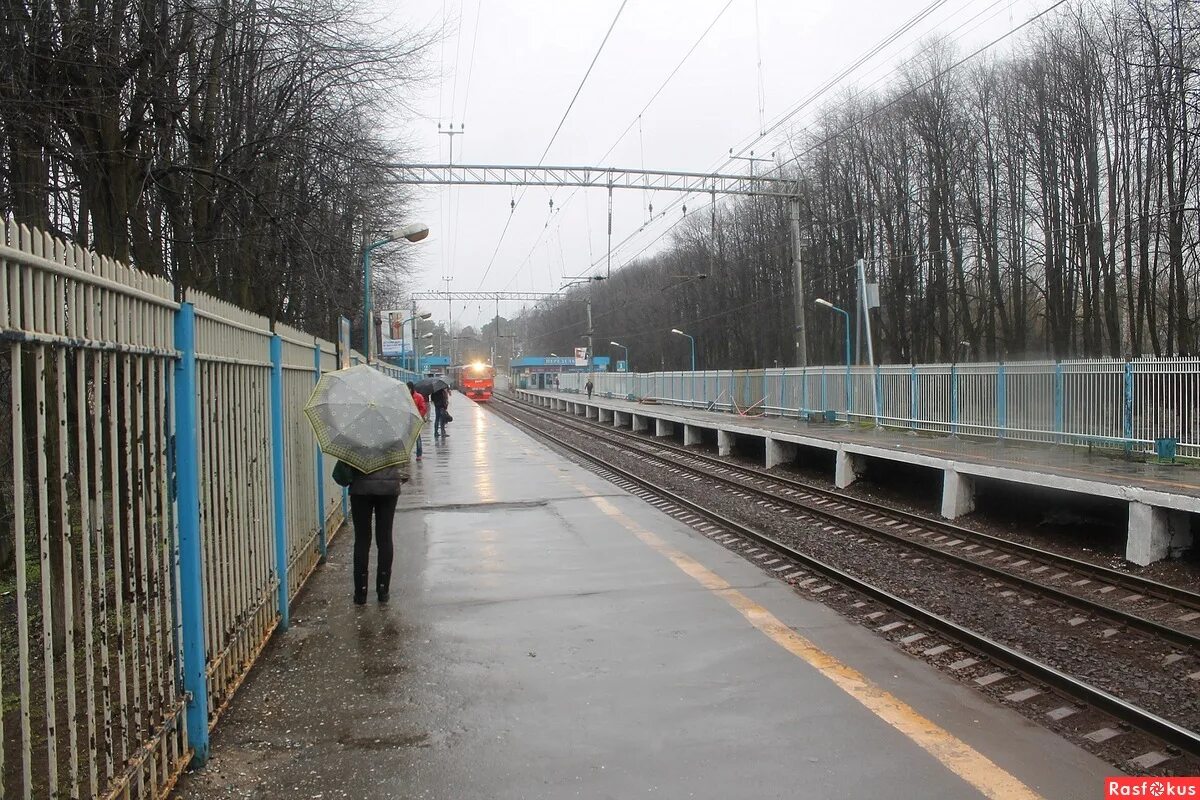 новая платформа переделкино. платформа станция переделкино.