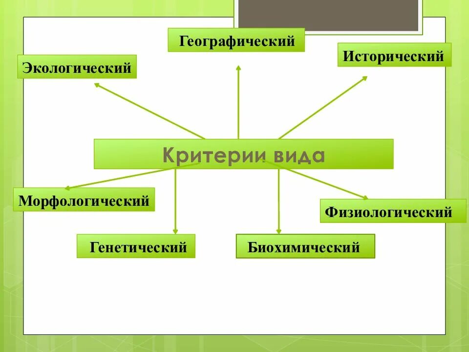 Виды морфологический экологический. Физиологический генетический морфологический критерии.