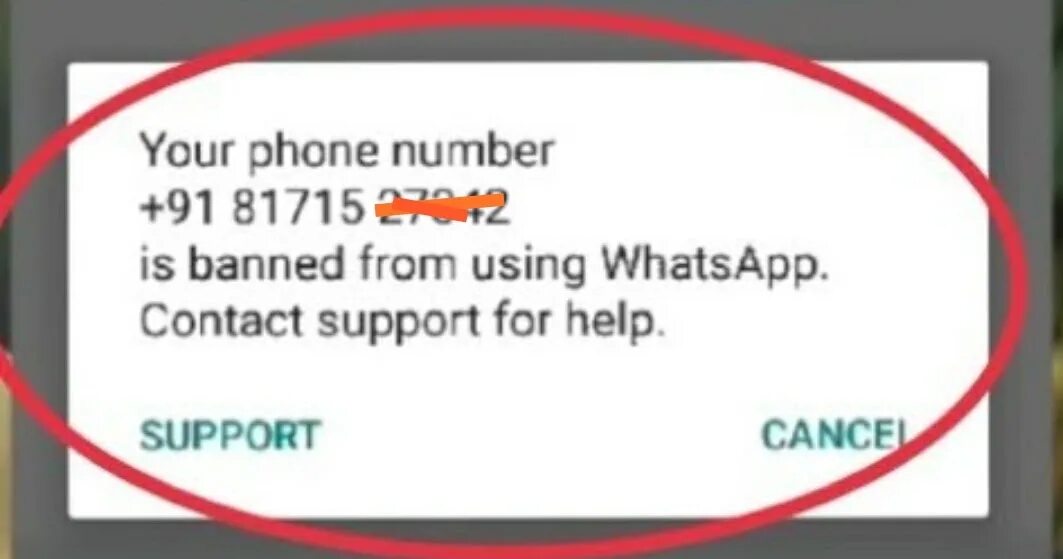Бан в ватсапе. Бан в ватсап. Бан в ватсапе фото. Бан в ватсапе на час. Как выглядит временный бан ватсап.