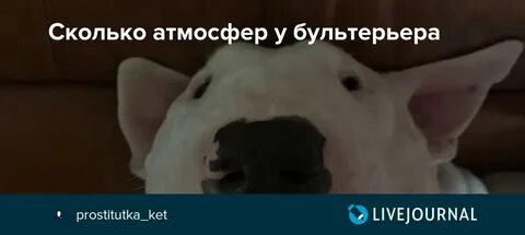Сколько атмосфер укус