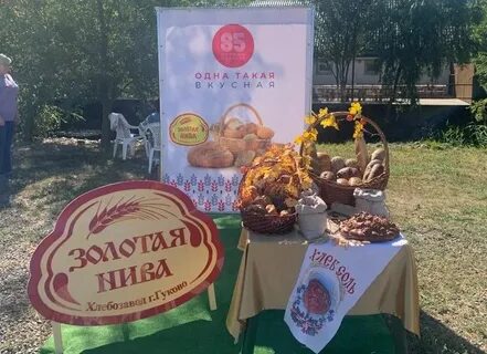 Золотая нива гуково