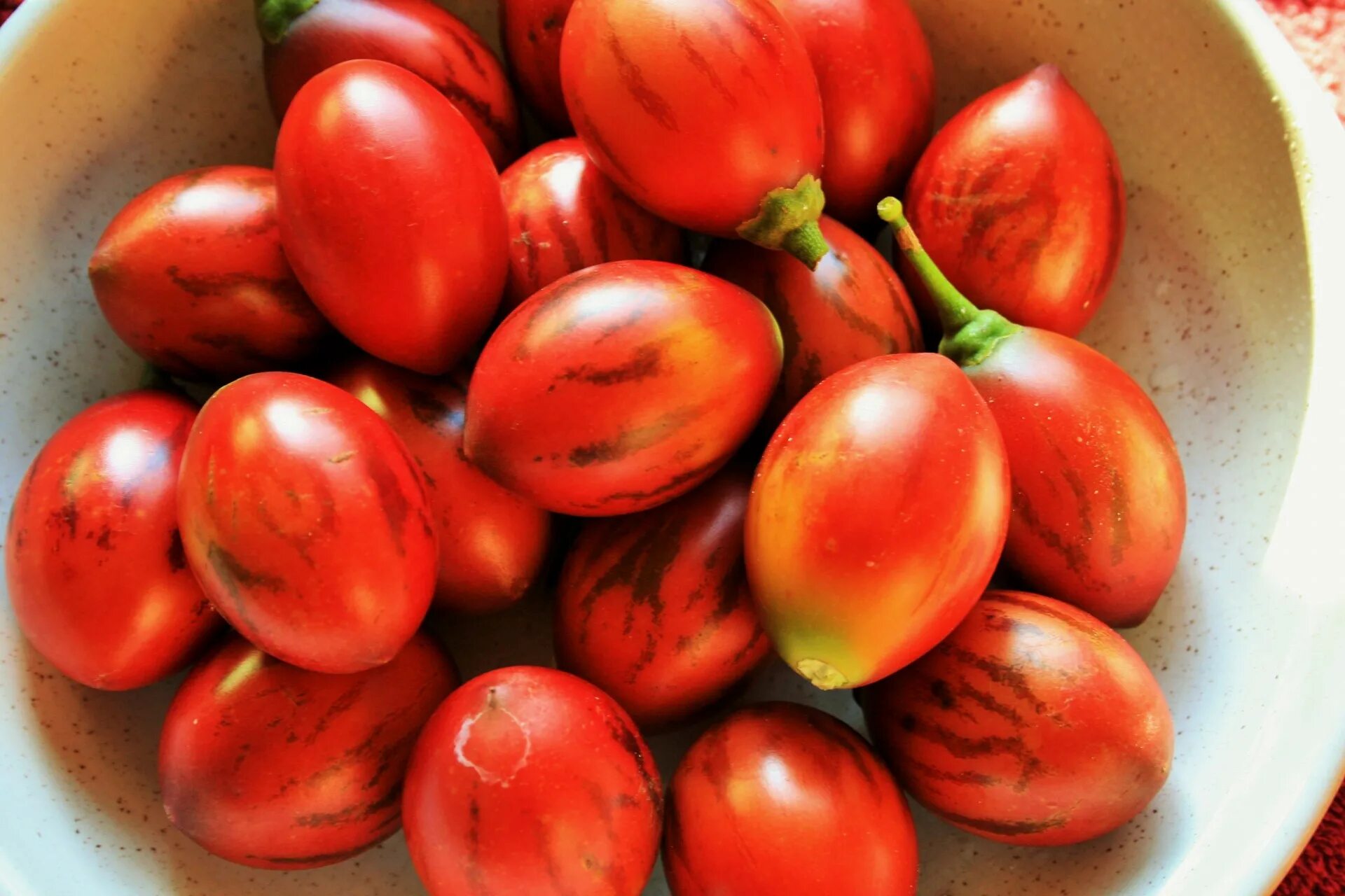 Tree tomatoes