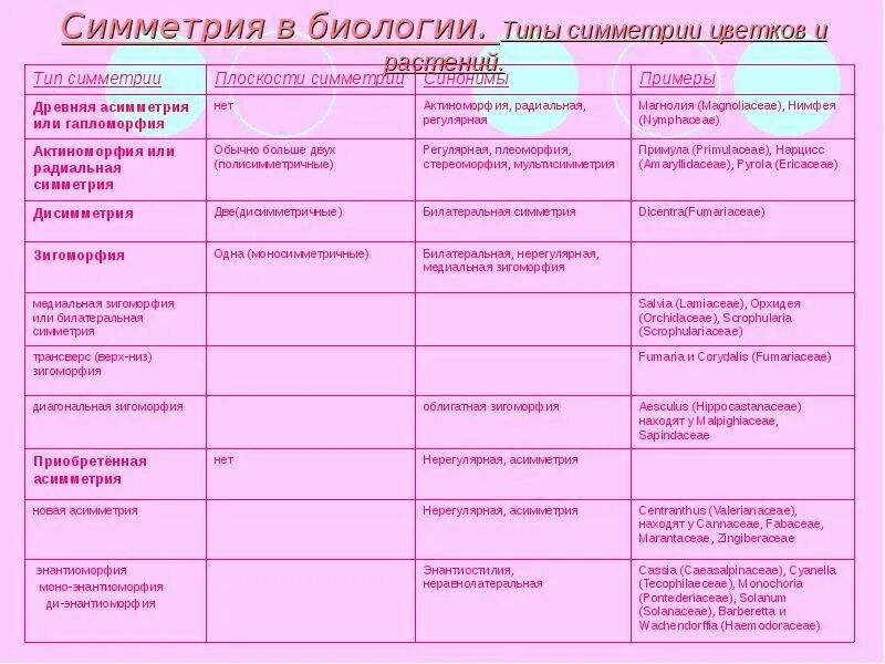 Тип симметрии чины луговой. Тип симметрии чины луговой