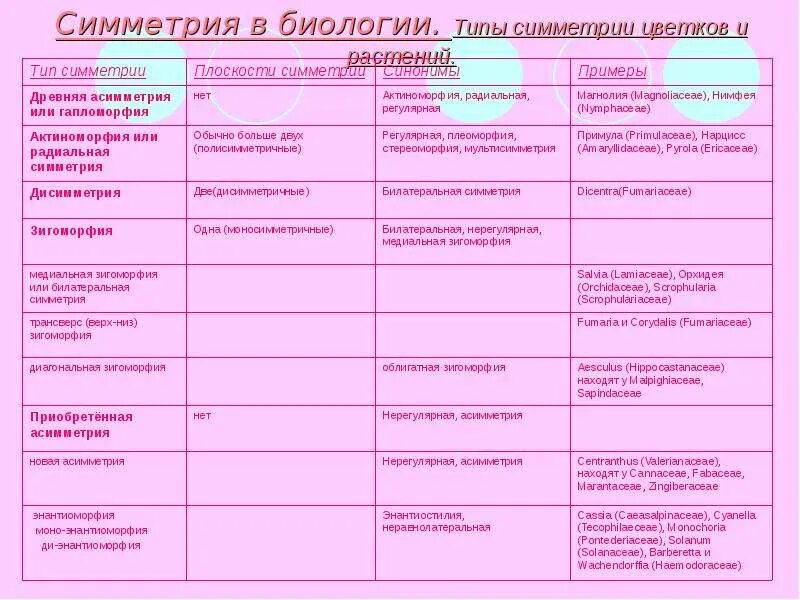 Типы симметрии. Типы симметрии животных таблица. Типы симметрии в биологии. Виды симметрии в биологии и примеры.