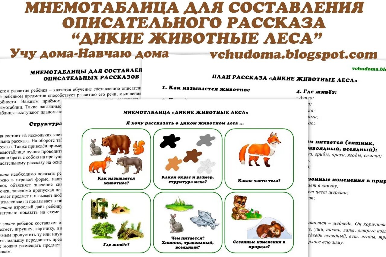 Описание животных средняя группа. Схема для составления описательного рассказа о диких животных. Схема описания дикого животного. Мнемотаблица составление описательного рассказа. Мнемотаблицы для составления описательного рассказа.