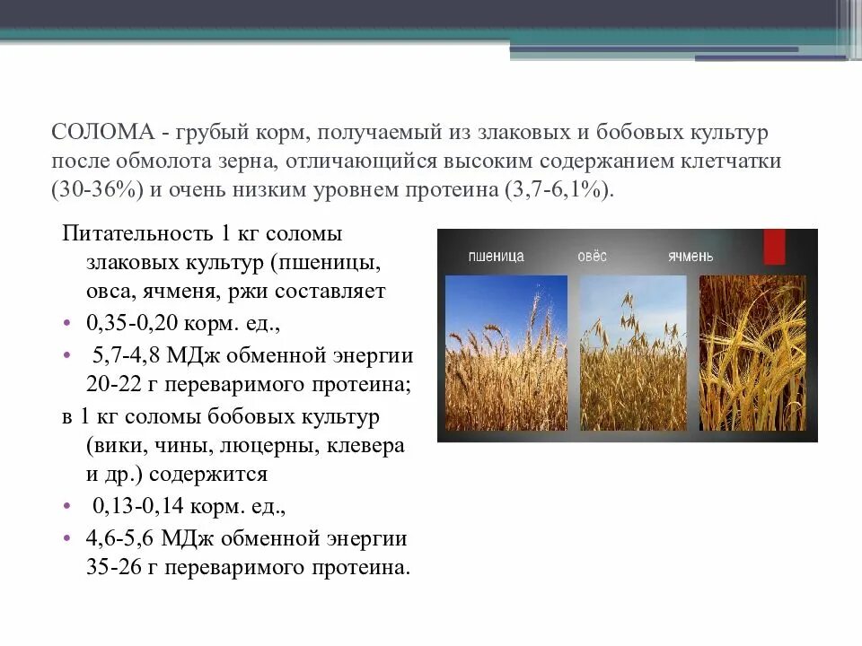 Сена свойства. Солома злаковых культур. Характеристика грубых кормов. Солома грубый корм. Солома кормовая.