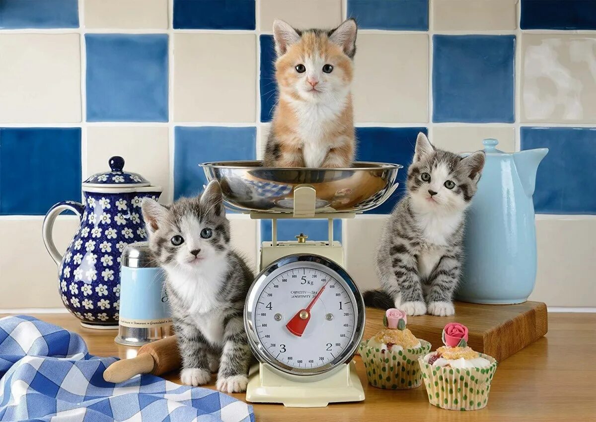 Cats kitchen. Котенок на кухне. Пазлы с котиками на кухне. Котик на кухне. Пазл кухня.