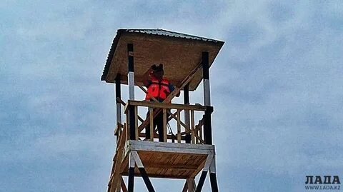 Сколько учиться на вышке на юриста