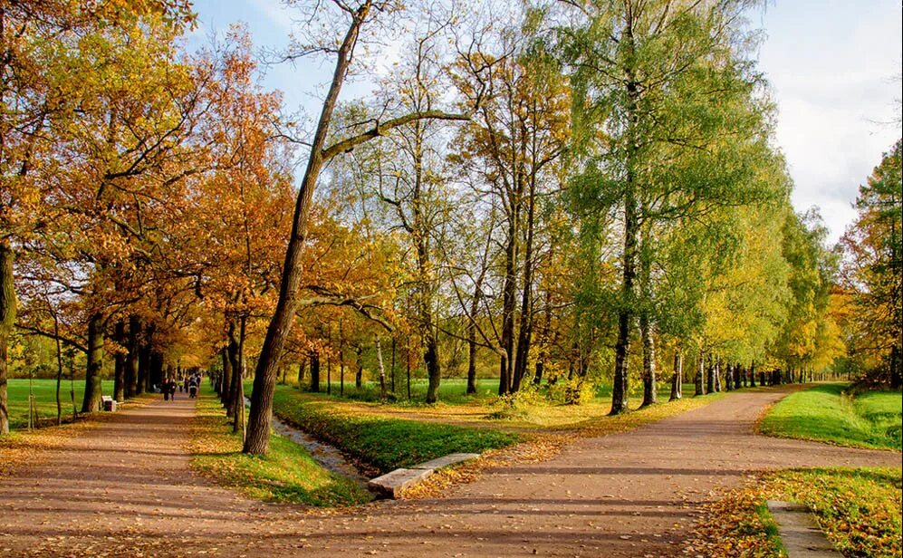дубовая аллея в екатерининском парке. спб пушкин нижний парк. парк пушкина брянск. нижний отдельный парк пушкин. парк имени пушкина брянск бежица.