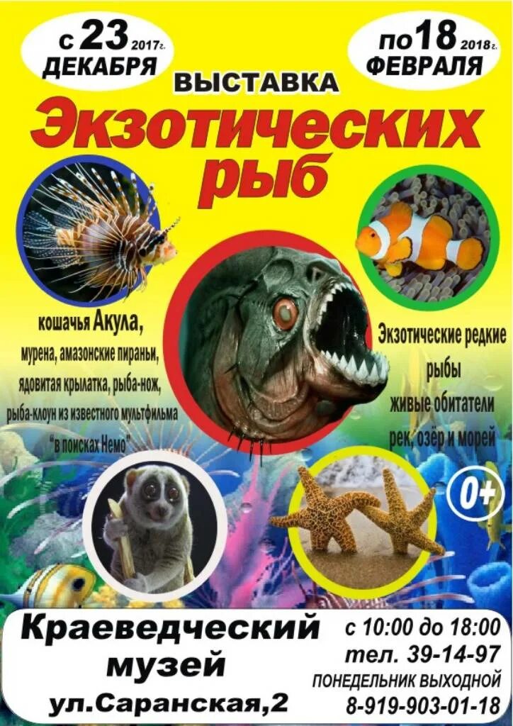 Выставка рыб в прокопьевске в победе. Выставка рыб. афиша выставка экзотических животных. афиша выставка разные рыбы. рыба афиша.