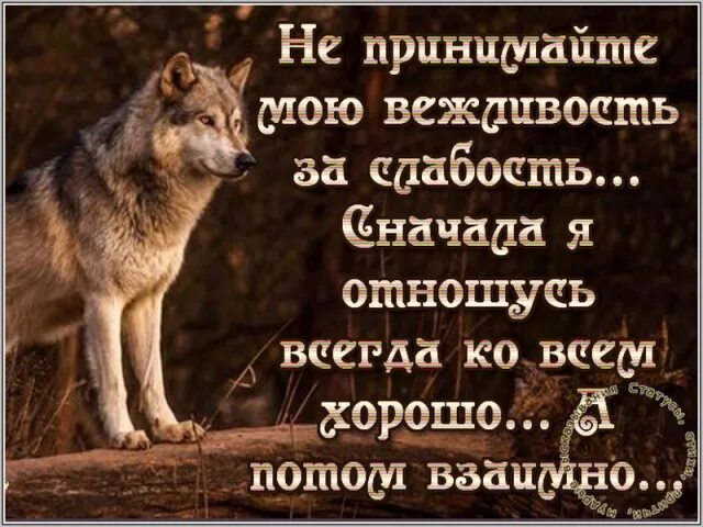 Людям надо отвечать взаимностью. Статус про взаимность к людям. Надо отвечать взаимностью. Высказывания о взаимности. Плачу той же монетой