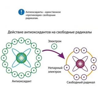 Свободные радикалы