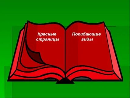 Раскрытая красная книга