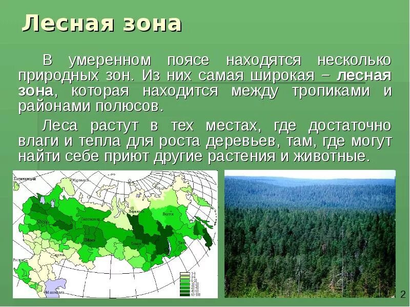 В каком климате растет