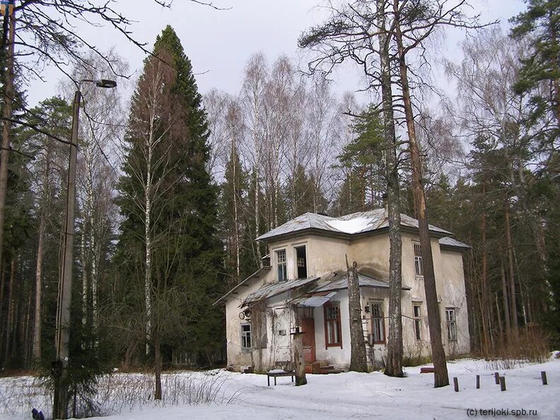 ушково санкт-петербург. ушково березка детский сад. тюрисевя. поселок ушково. поселок ушково ленинградская область детский лагерь.